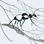 Black and white line art of an ant carrying a leaf, designed as simple outlines for coloring with no shading, ideal for coloring book enthusiasts.