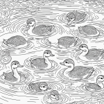 Black and white illustration of baby ducklings swimming in a pond with bold outlines, perfect for coloring and artistic expression.