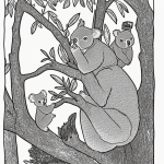 Black and white coloring book illustration of a koala perched on an eucalyptus tree, depicted with cartoon outlines and no shading, ready for coloring.
