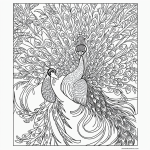 Black and white coloring book illustration of a peacock with open feathers and bold outlines, perfect for artistic expression and relaxation.