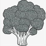 Black and white line art of a broccoli cartoon, featuring simple outlines and blank fill areas, ideal for coloring book enthusiasts.