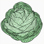 Line art of a cabbage cartoon with simple black and white outlines, perfect for a coloring book with blank fill areas and no shading.