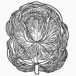 A simple black and white cabbage cartoon line art, featuring clean outlines and uncolored areas, ideal for coloring book enthusiasts.