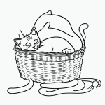 A simple black and white vector line art of a cat sleeping in a basket, featuring bold clean outlines on a flat white background, ideal for coloring pages.