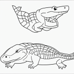 A simple black and white crocodile cartoon outline, perfect for coloring enthusiasts, featuring clean lines, blank fill areas, and no shading.