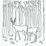 Simple black and white vector line art of a deer in a forest clearing, featuring bold outlines and a flat white background, ideal for children's coloring.
