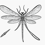 Black and white dragonfly cartoon line art with clean outlines, perfect for coloring book enthusiasts, featuring uncolored blank fill areas and no shading.
