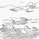 A simple black and white line art of a duck swimming, featuring clean outlines and blank fill areas, suitable for coloring books with no shading or gradients.