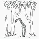 Black and white line art of a giraffe eating leaves from a tall tree, designed as a children's printable coloring page with bold outlines.