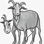 Black and white goat cartoon line art with simple outlines and blank fill areas, ideal for coloring book enthusiasts seeking creative expression.