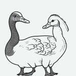 Black and white goose cartoon in simple outlines, ideal for coloring books, with clean lines and blank fill areas on a white background.