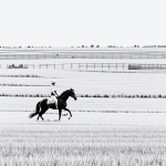 Simple black and white vector line art of a horse galloping through a field, featuring bold clean outlines, perfect for a children's printable coloring page.