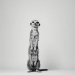 A meerkat standing in simple black and white line art, with clean outlines and blank fill areas perfect for coloring, no shading or gradients.