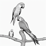 Line art of a parrot on a perch, featuring simple outlines and a clean, uncolored design in black and white, ideal for coloring book enthusiasts.