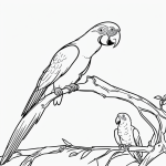 A simple black and white vector line art of a parrot sitting on a tropical branch with bold clean outlines, perfect for a printable coloring page.