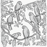 Black and white coloring book illustration of parrots on jungle vines with simple outlines, perfect for creative coloring enthusiasts.