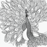 Black and white peacock line art with simple outlines in a coloring book style, perfect for creative coloring activities.