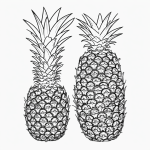 Black and white pineapple cartoon line art with simple outlines and blank fill areas, ideal for coloring enthusiasts.