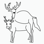 A simple black and white vector line art of a reindeer with a red nose, featuring bold clean outlines and a flat white background, ideal for children's coloring pages.