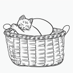 A simple black and white line art of a cat sleeping in a basket, featuring bold clean outlines on a flat white background, ideal for a printable coloring page.