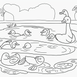 Black and white vector line art of a duck family swimming in a pond, featuring bold clean outlines on a flat white background, ideal for a children's coloring page.