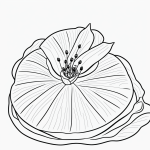 Simple black and white vector line art of a frog sitting on a lily pad, designed as a children's printable coloring page with bold clean outlines.