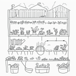 Simple black and white vector line art of a vegetable garden with a watering can, featuring bold, clean outlines and minimal composition for kids' coloring pages.