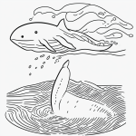 Simple black and white vector line art of a whale with water spraying from its blowhole, designed as a children's printable coloring page.