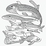 A whale and fish depicted in simple black and white line art, featuring clean outlines and blank fill areas, perfect for coloring enthusiasts.
