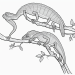 Simple black and white coloring page of a chameleon on a branch, designed for kids, featuring clear outlines for easy coloring and creativity.