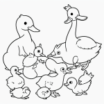 Black and white coloring page of a duck with ducklings, perfect for kids, featuring clear outlines and no shading for easy coloring.