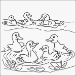 A simple black and white coloring page depicting a family of ducks swimming, perfect for kids' coloring books with clear outlines and line art.