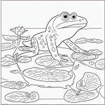 A simple black and white coloring page for kids featuring a frog sitting on a lily pad with clear outlines, ideal for coloring book activities.