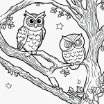 A simple black and white owl coloring page for kids featuring an owl sitting on a tree branch at night, ideal for a coloring book with clear outlines.
