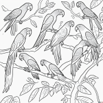 Black and white coloring page featuring parrots flying in a jungle, suitable for kids, with clear outlines for easy coloring.