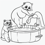 A simple black and white coloring page of a raccoon washing food with clear outlines, suitable for kids' coloring books and creative activities.