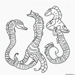 Simple black and white seahorse coloring page for kids, featuring clear outlines and line art, perfect for coloring and creative fun.