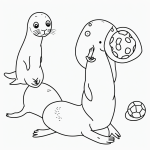 A simple black and white coloring page showing a seal balancing a ball, designed for kids with clear outlines for an enjoyable coloring experience.