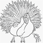 A simple black and white turkey coloring page for kids, featuring a turkey with feathers spread wide, clear outlines, and no shading, ideal for a coloring book.